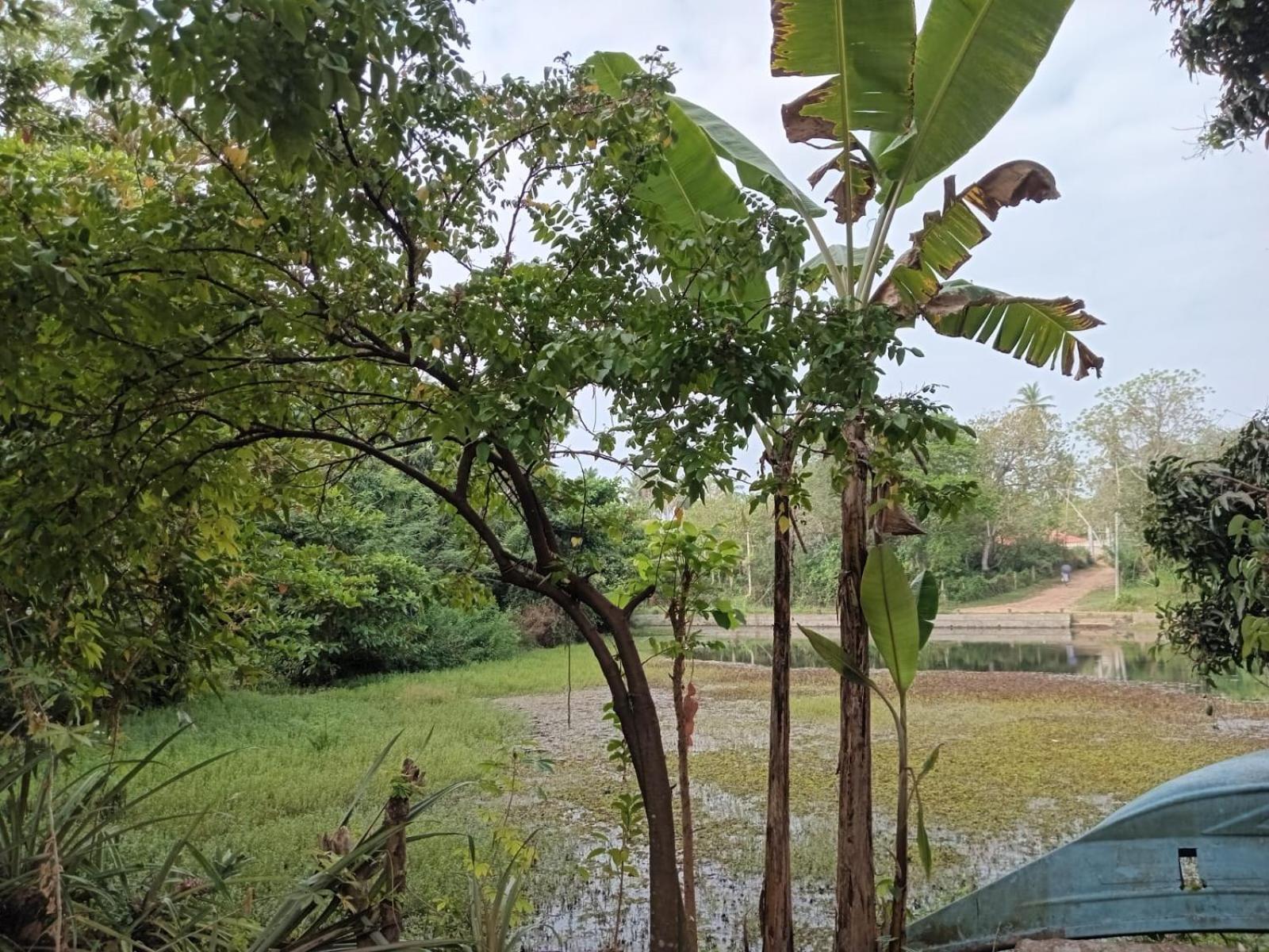 Villa Arachchi
